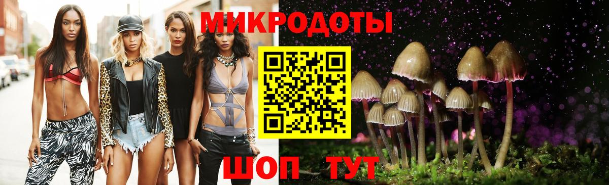 Ярцево  Галлюциногенные грибы прущие грибы  Вход с VPN 